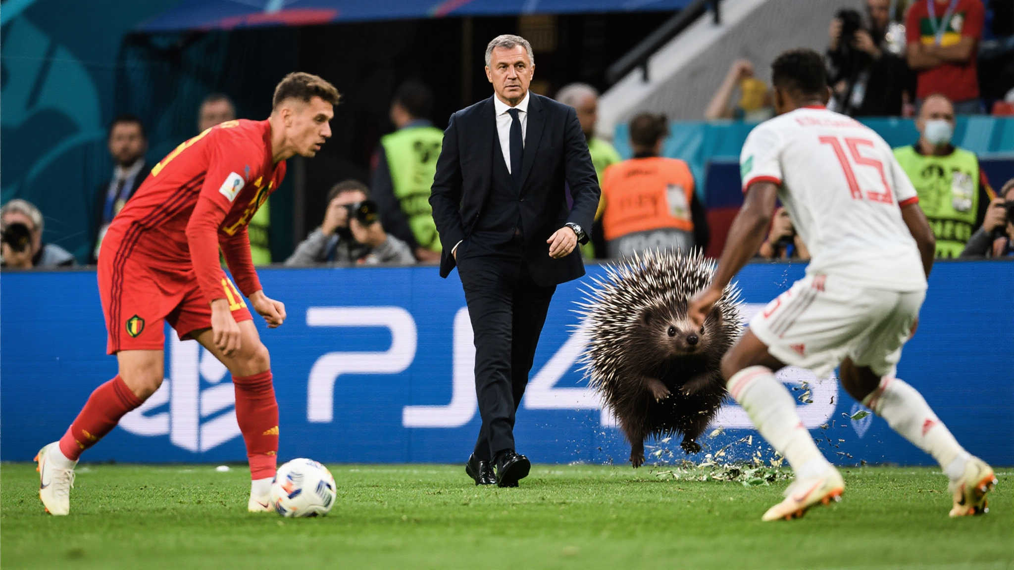 世界杯比分主营商